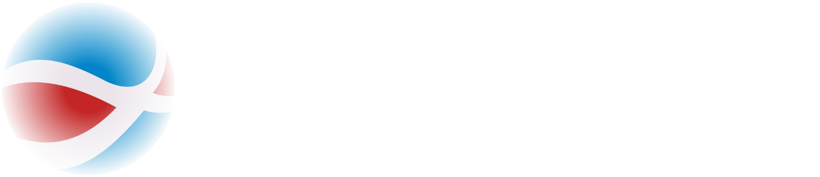 DBM Cargo Logística e Transportes